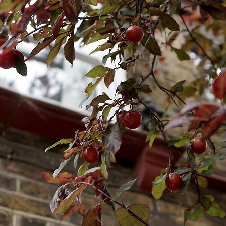 Luxury London Garden Home Sleep 7, 2 Mins To Metro 외부 사진