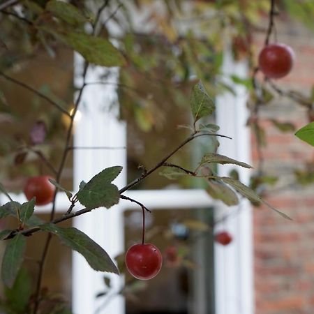 Luxury London Garden Home Sleep 7, 2 Mins To Metro 외부 사진