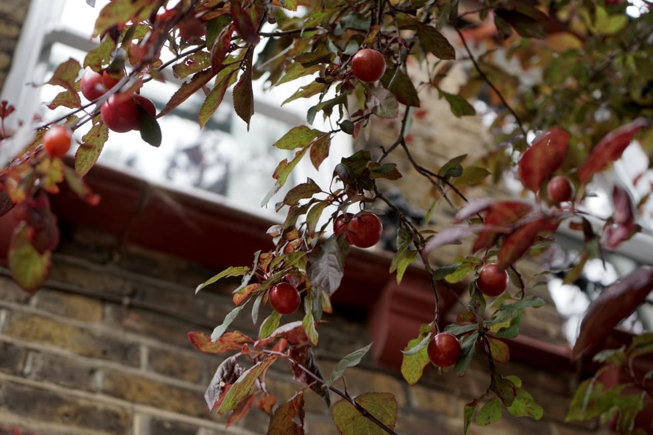 Luxury London Garden Home Sleep 7, 2 Mins To Metro 외부 사진