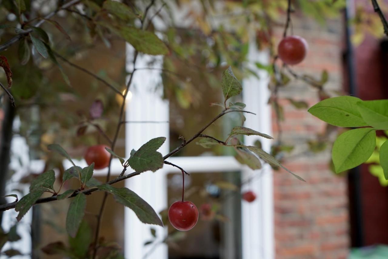 Luxury London Garden Home Sleep 7, 2 Mins To Metro 외부 사진